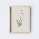 Vintage Flower Art Print | Botanical Floral Drawing A106