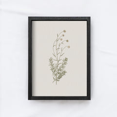 Vintage Flower Art Print | Botanical Floral Drawing A106