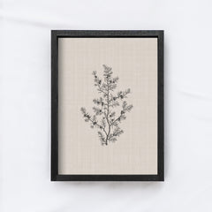 Vintage Print Framed | Floral Branch Print A107