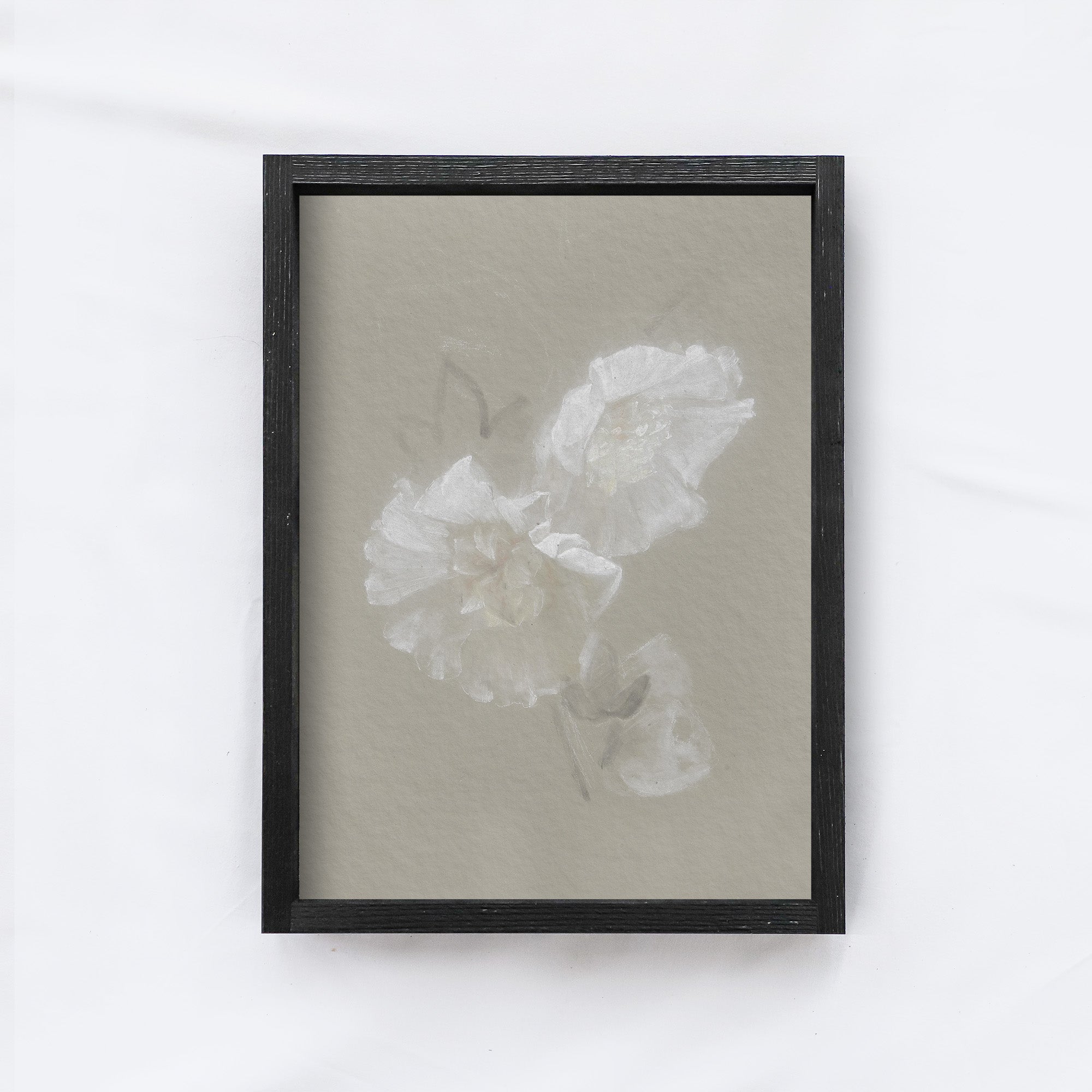Vintage Print Framed | Flower Sketch A130