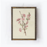 Vintage Floral Peach Blossom Drawing Framed Vintage Art A316