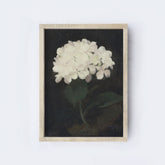 Dark Hydrangea Painting A51