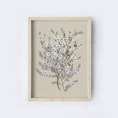Vintage Flower Drawing A62