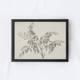 Vintage Botanical Watercolour Painting A75