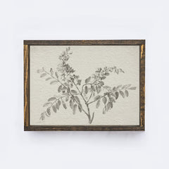 Vintage Botanical Watercolour Painting A75