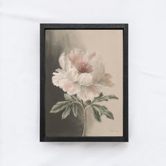 Vintage Peony Painting A14
