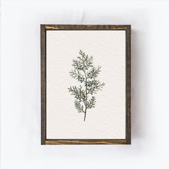 Vintage Coniferous Drawing A72