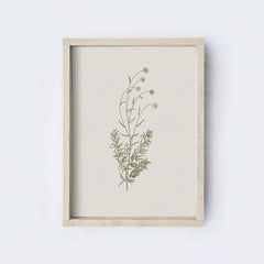 Vintage Flower Art Print | Botanical Floral Drawing A106