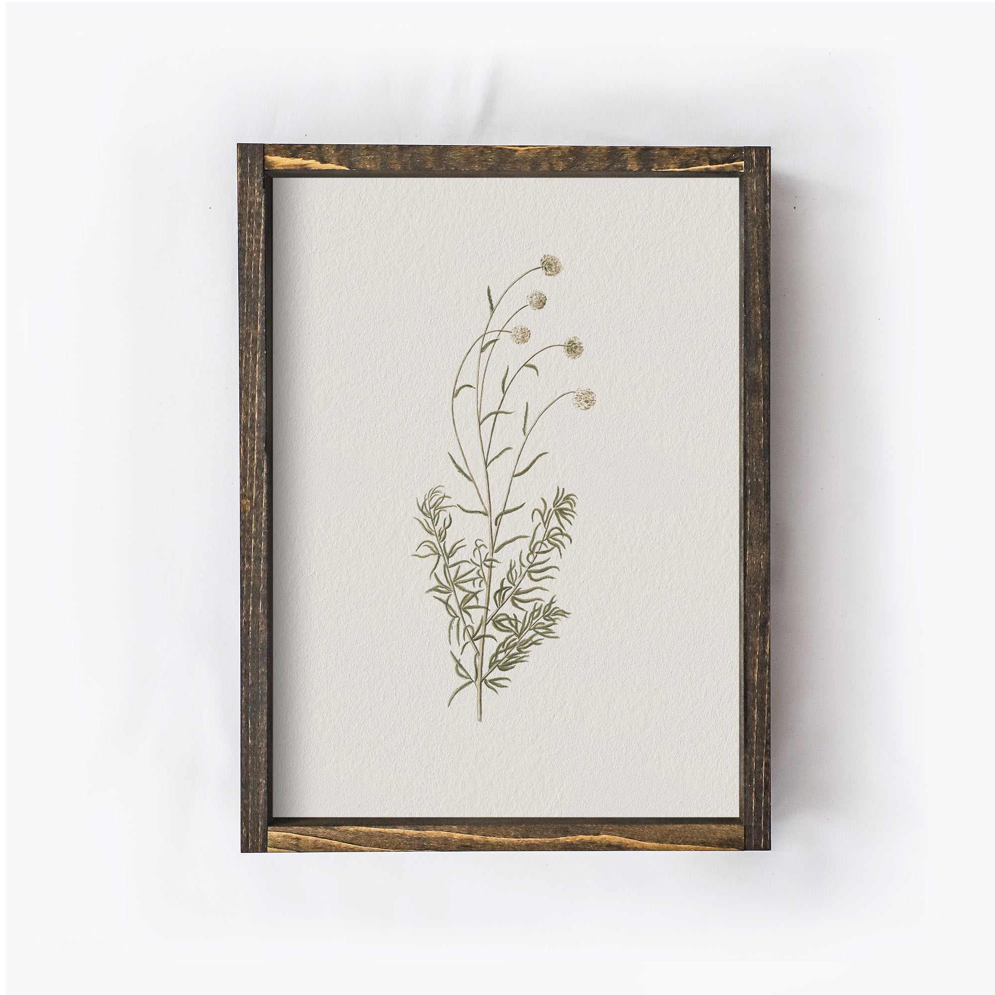 Vintage Flower Art Print | Botanical Floral Drawing A106