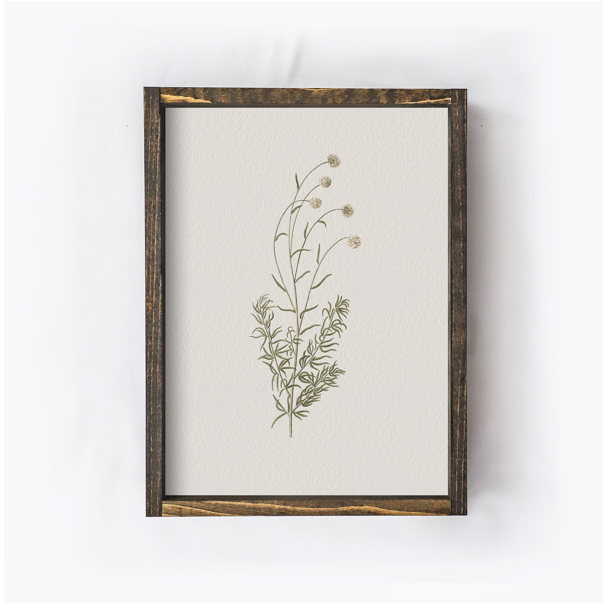 Vintage Flower Art Print | Botanical Floral Drawing A106