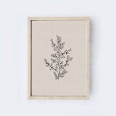 Vintage Print Framed | Floral Branch Print A107
