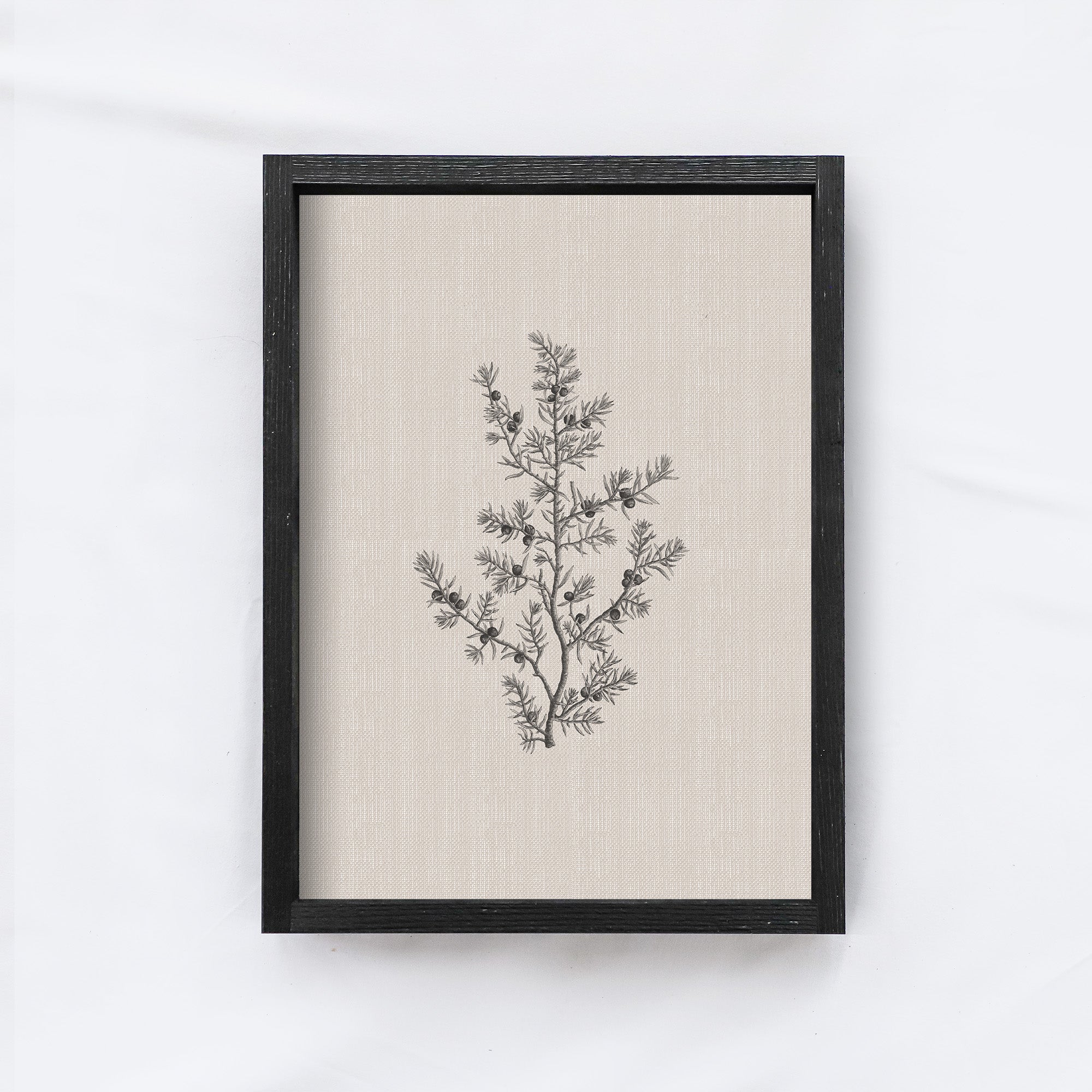 Vintage Print Framed | Floral Branch Print A107