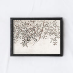 Vintage Print Framed | Apple Blossom Sketch A131