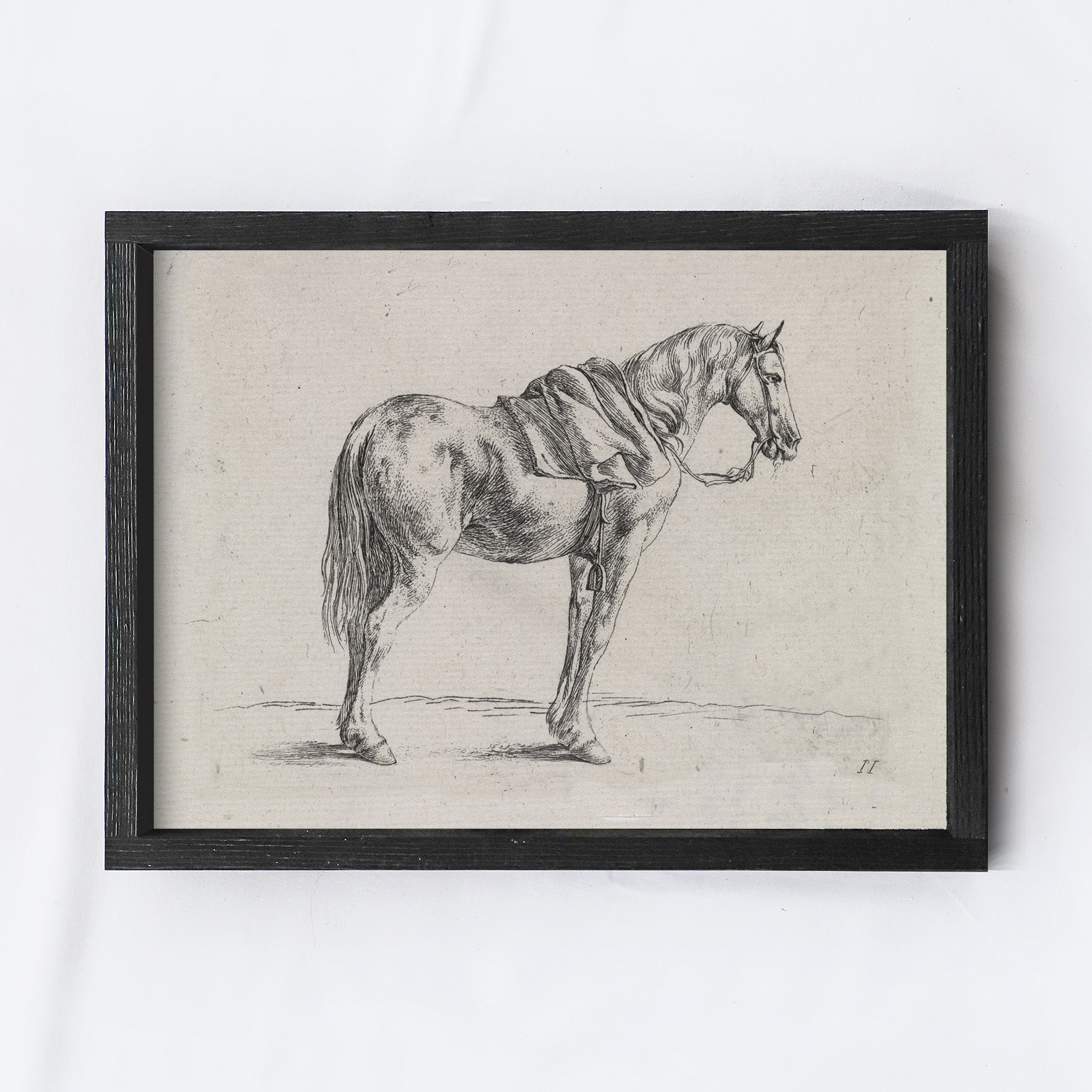 Vintage Print Framed | Horse Sktch A136