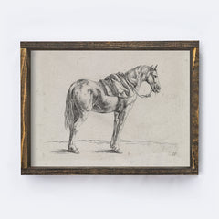 Vintage Print Framed | Horse Sktch A136