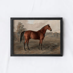 Vintage Horse Print Framed | Equestrian Art A195