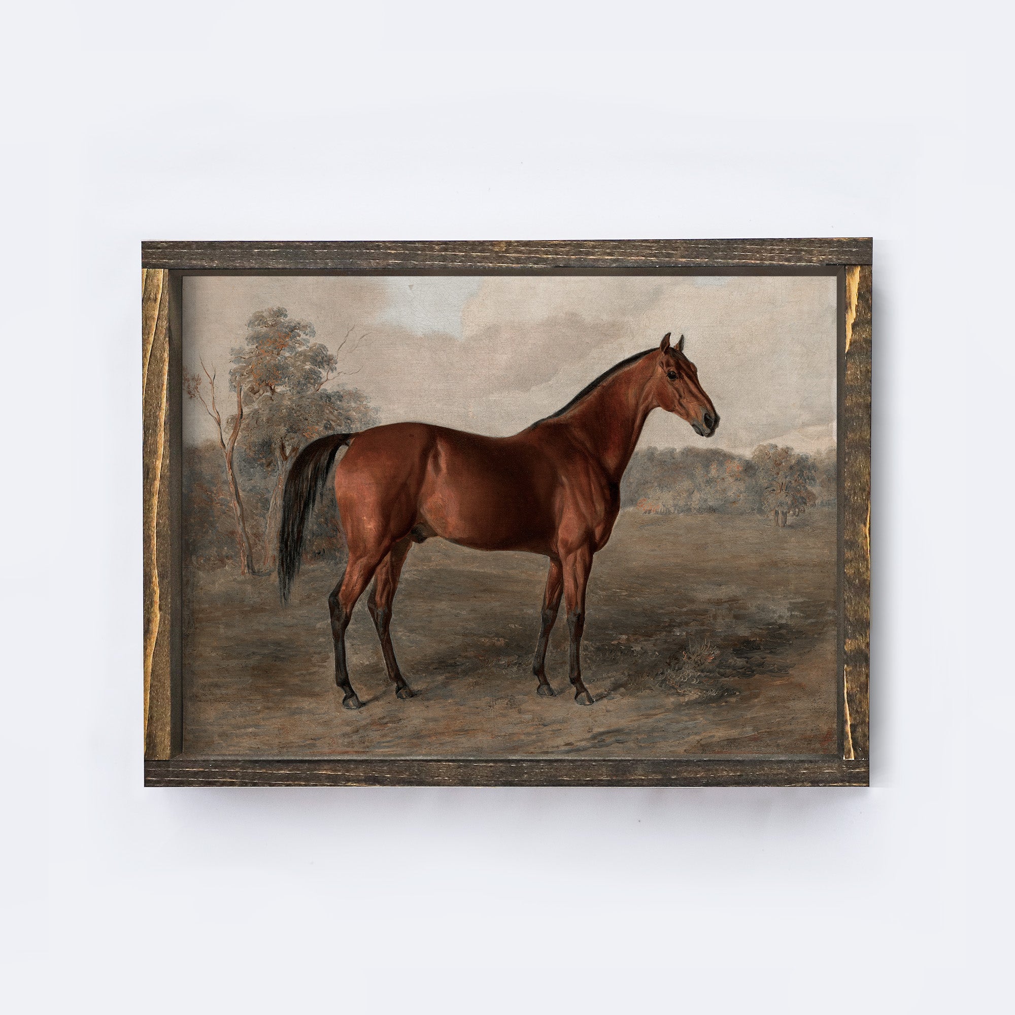 Vintage Horse Print Framed | Equestrian Art A195