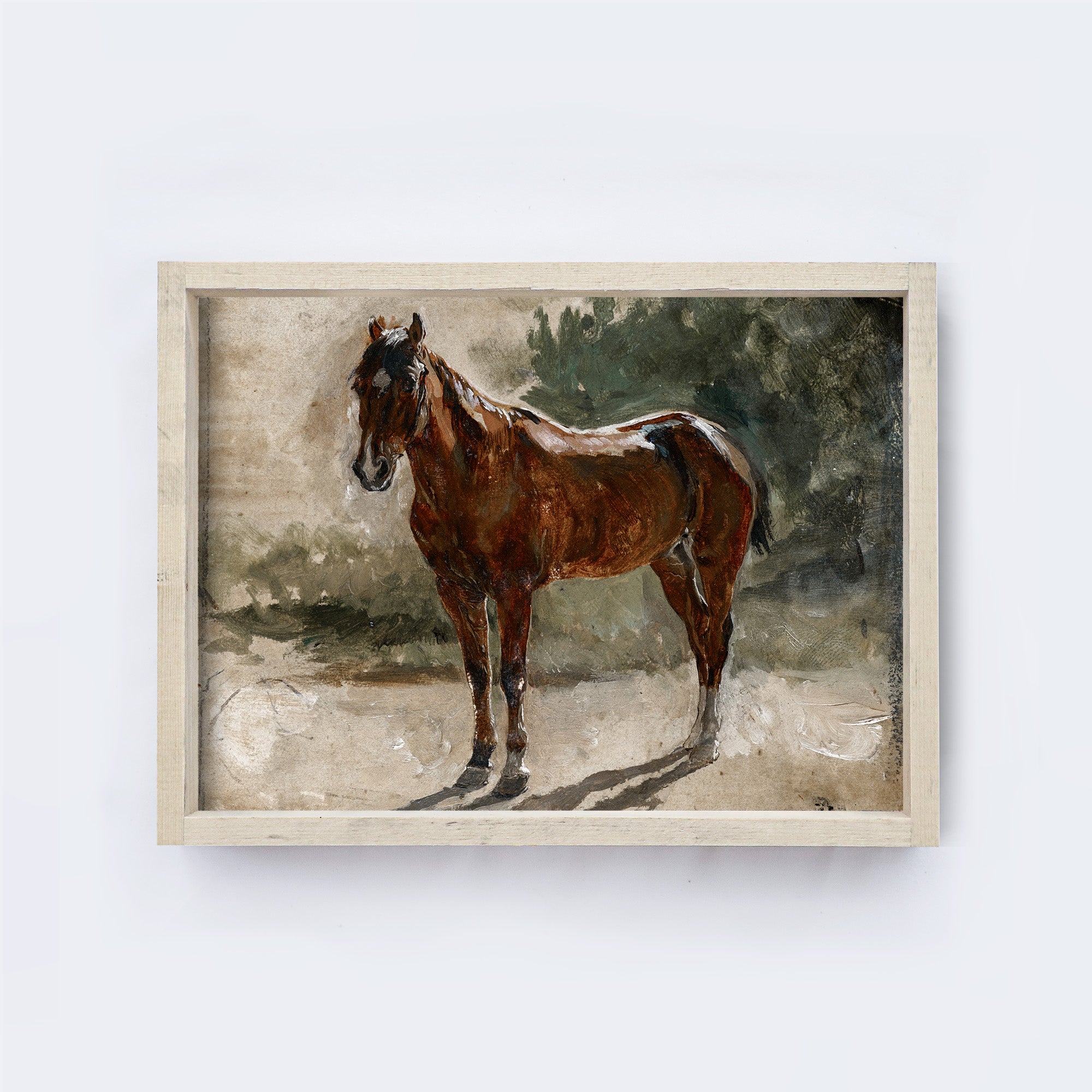 Vintage Print Framed | Horse Painting A96