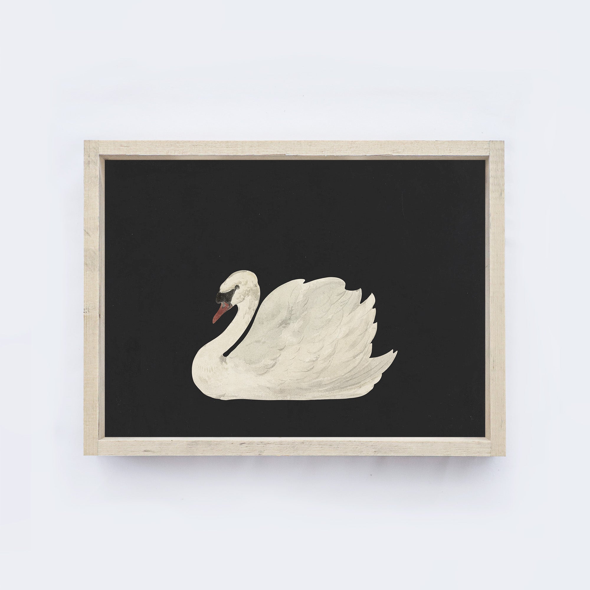 Antique Swan Painting A36