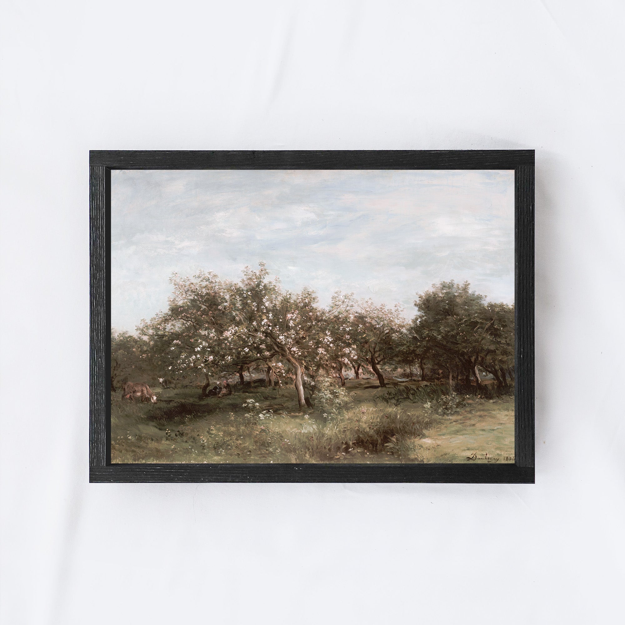 Vintage Apple Orchards A25